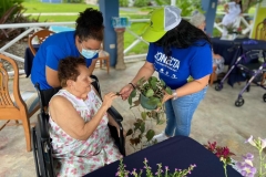 Fotos-1