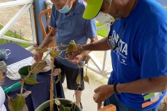 Fotos-15