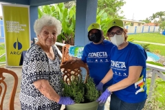 Fotos-17