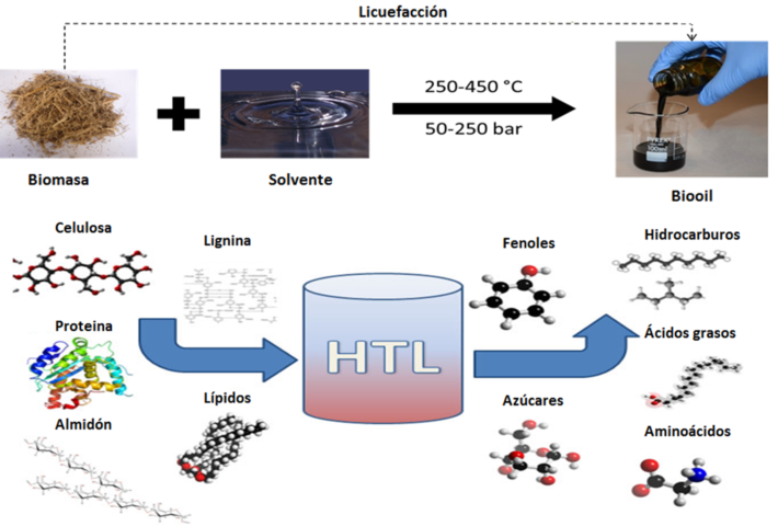 Diagrama proceso térmico de las microalgas