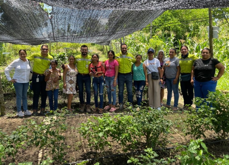 Verde Mujer